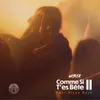 About Comme si t'es bête 2 Song