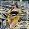 DJ Peluklah Tubuhku Kecup Keningku - Ayang Nabila Maharani - Inst