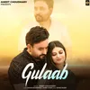 About Gulaab Song