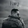 About LARG (Acoustic) Song