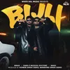 About Bijli Song