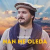 About Nan Me oleda Song