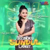 About Tresnoku Sundul Langit Song