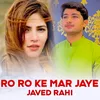 About Ro Ro Ke Mar Jaye Song