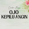 Ojo Kepilu Angin