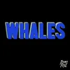 About Whales Song