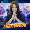 About Anak Wedok Song