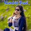 About Namkin Pani Song