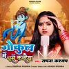 About Gokul Me Ghume Kanhaiya Song