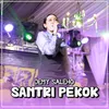 Santri Pekok