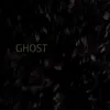 About Ghost Song