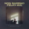 About Non saremo felici mai Song