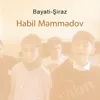 About Bayati-Şiraz Song