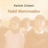 About Kərkük Zindani Song