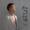 About 痴情的我犯下痴情的错 Song