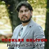 About TÜRKLER GELİYOR Song