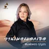 About วานเพลงบอกเธอ Song