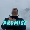 About Promise Song