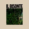 About Il bisonte Song
