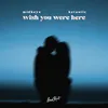 About Wish You Were Here Song