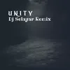 About unity Song