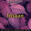 About Insaan Song