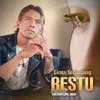 Cinta Terhalang Restu