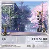 About Feels Like Song