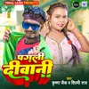 About Pagli Diwani Song