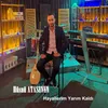 About Hayallerim Yarım Kaldı Song