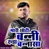 About Mari Choti Banni Ruda Bannasa Song