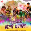 About Shekhawati Holi Dhamal Song