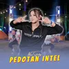 Pedotan Intel