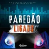 About Paredão Ligado Song