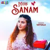 About Mere Sanam Song