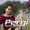 About Pergi Song