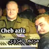 About مريم - مروى Song