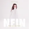 About NEIN Song