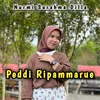 About Peddi Ripammarue Song