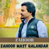 About Zahoor Mast Qalandar Song