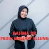 About Peddi Mallapi Allung Song