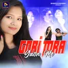 About Gori Tora Gaon Me Song