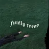 About FAMILY TREES Song