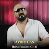 About Hoşafınamı Gitti Song