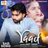 About Yaad Song