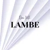 Lambe