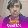 About Qaidi 804 Song