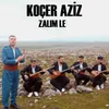 About Zalım Le Song