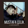 About Canım Babam Song