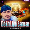 About Dekh Liya Sansar Song